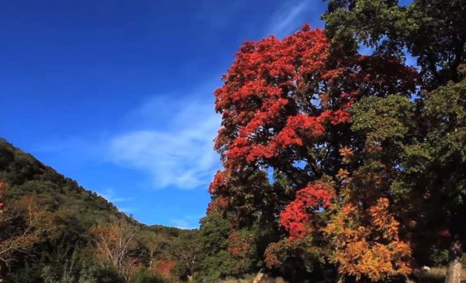 Leakey in the Fall - Texas Hill Country Beauty That's Yet Unsurpassed
